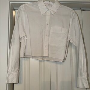 Olivaceous Classic White Shirt